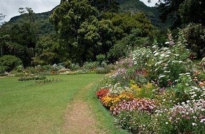 Cultural Trincomalee Hill Country Colombo Tour Srilanka