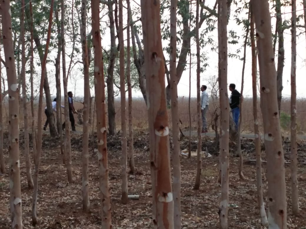 ROSHNI NILGARI FARMS