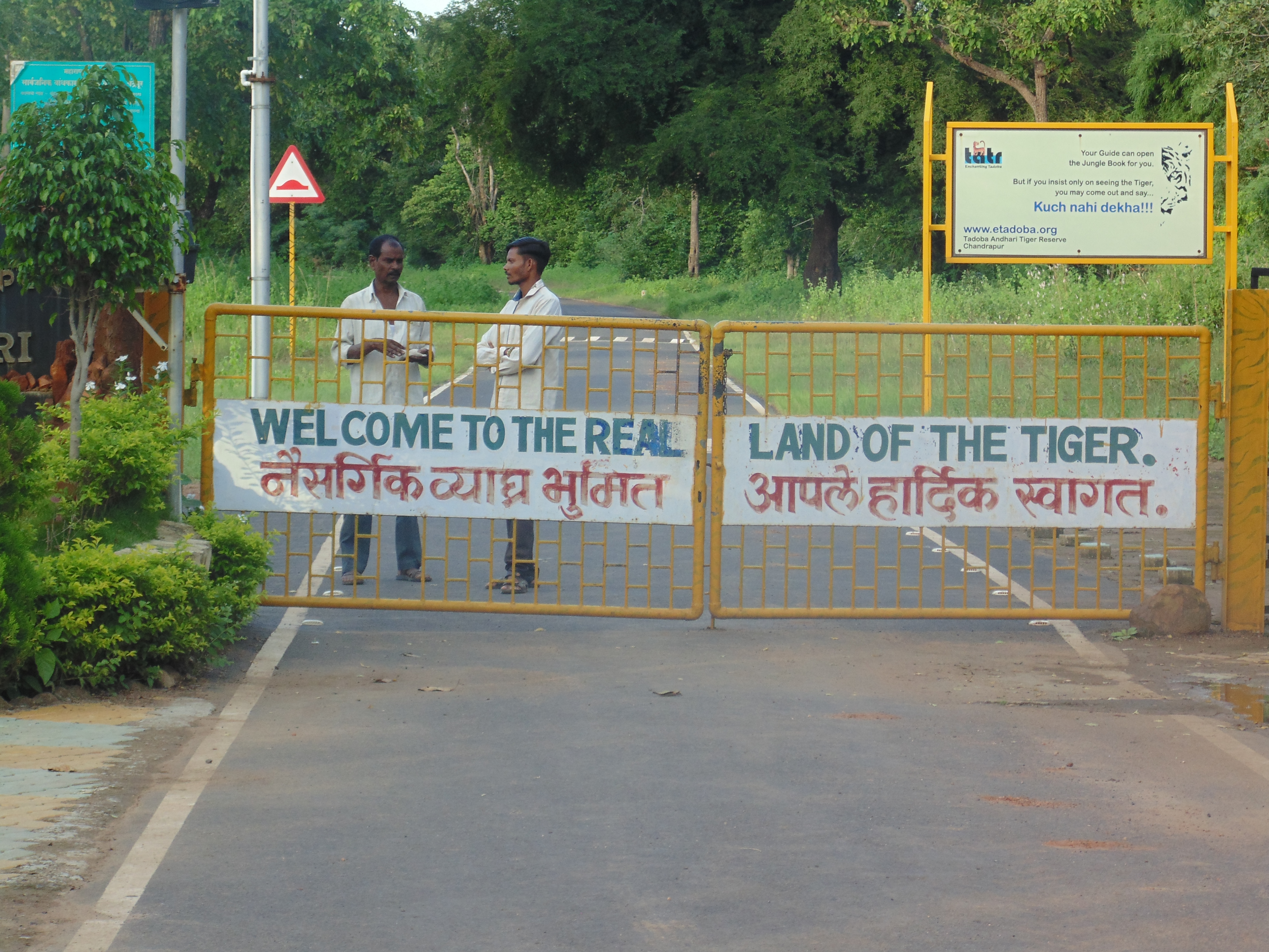 Tadoba Forest